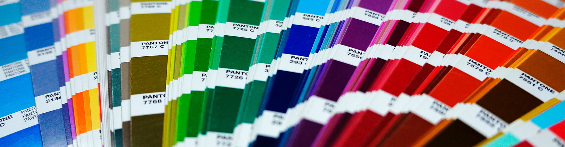 Branding: a paleta de cores na construção de uma identidade visual forte -  Estúdio Roxo
